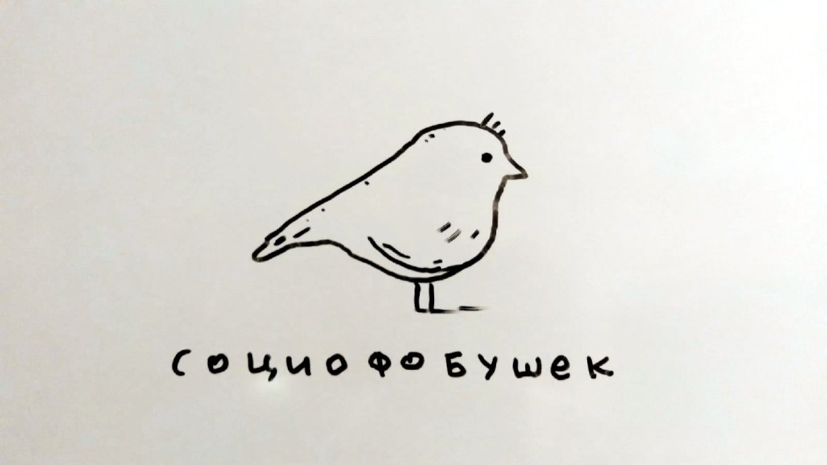 Воробушек социофобушек