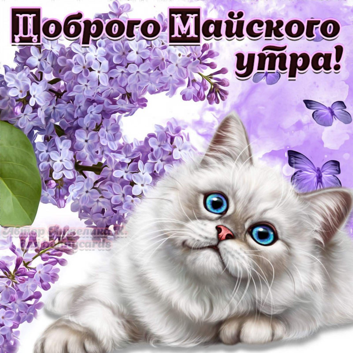 Доброго майского утра и хорошего дня