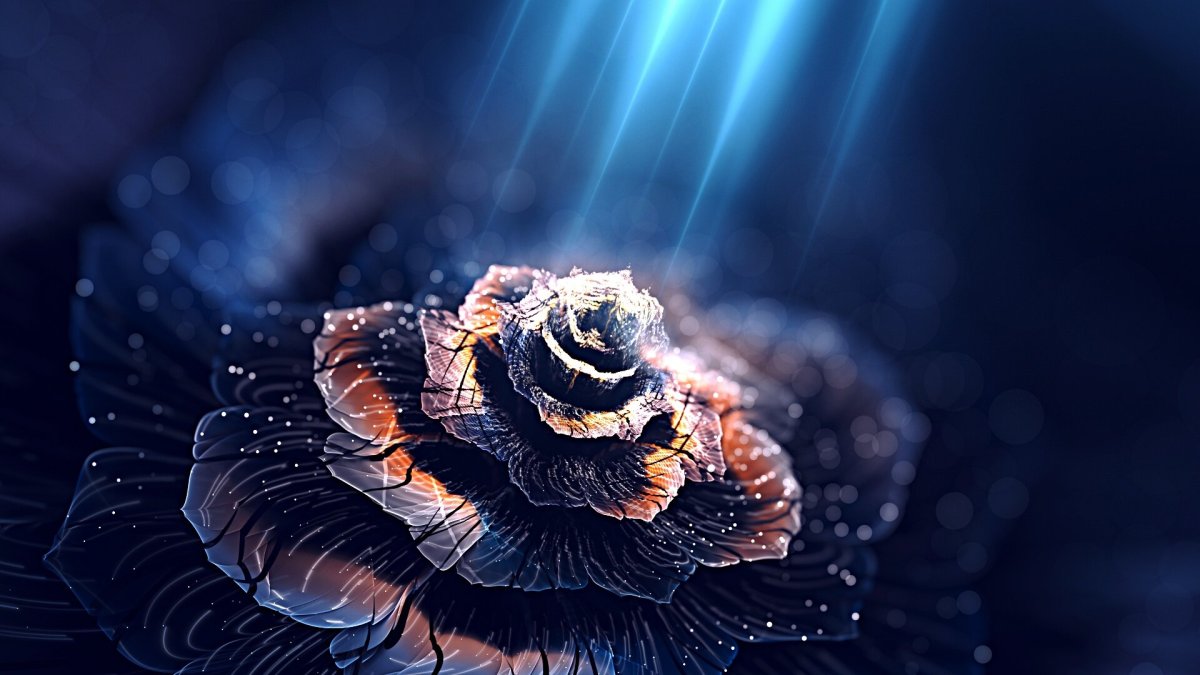 Красивые картинки на темном фоне