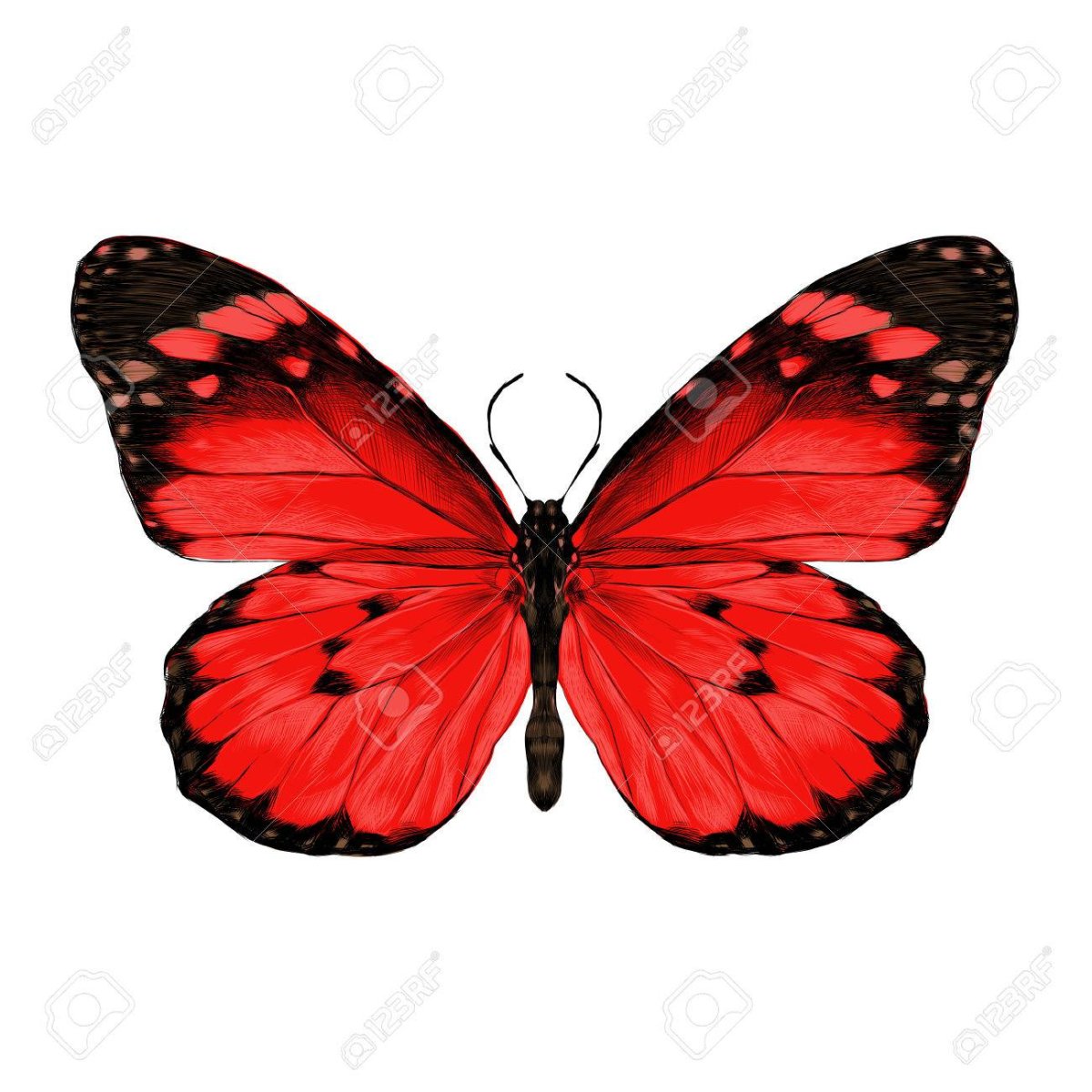 Маленькая красная бабочка