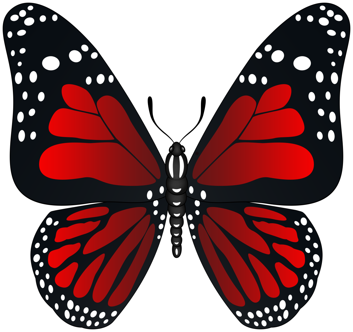 Бабочки на белом фоне