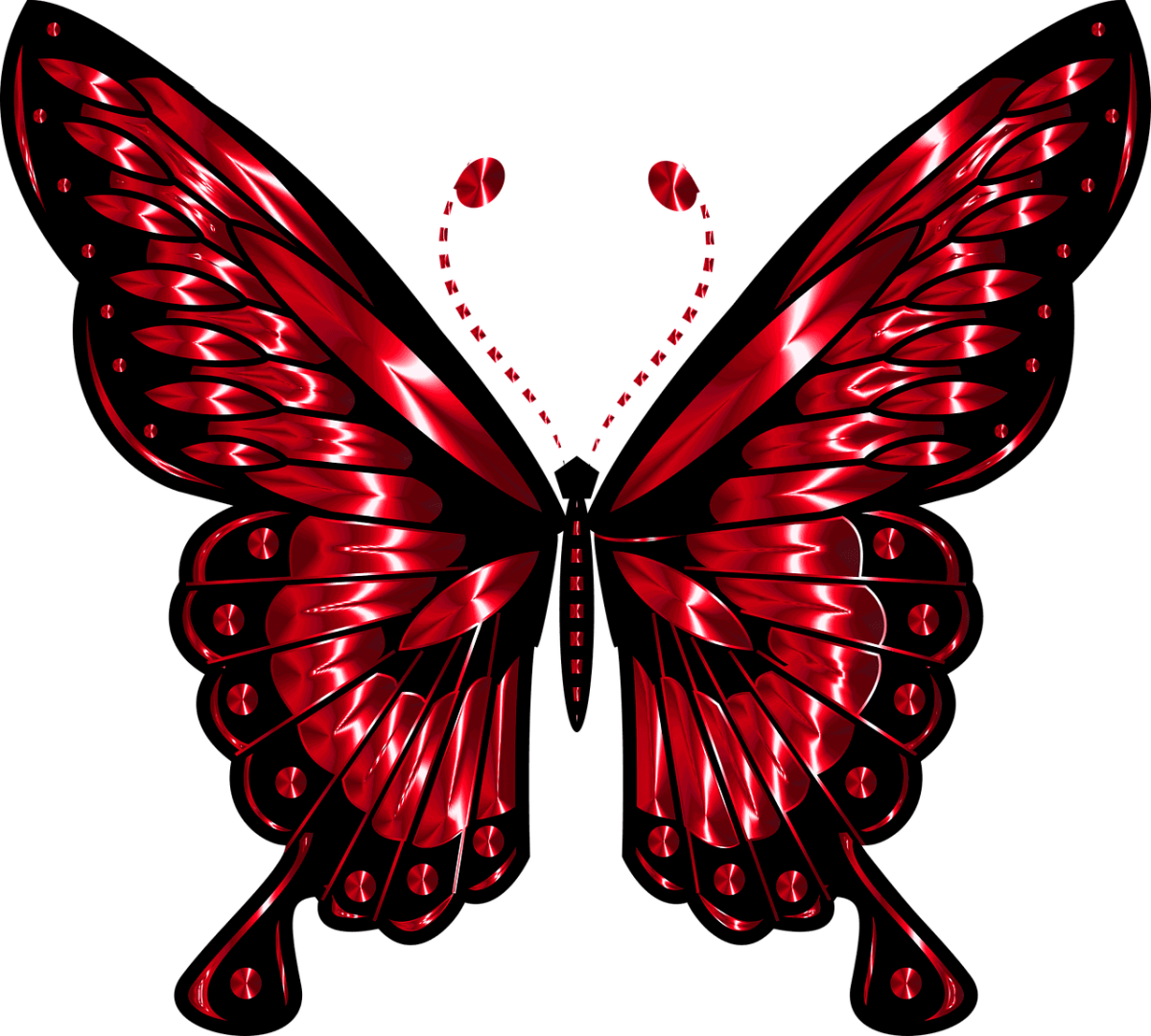 Бабочка одна сторона яркая профессиональный рисунок