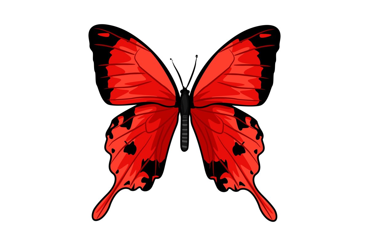Бабочка рисунок