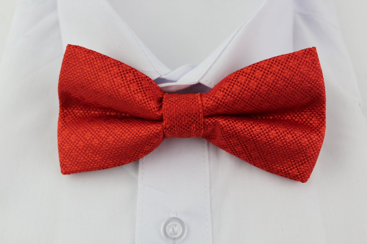 Бабочка рубиновый красный