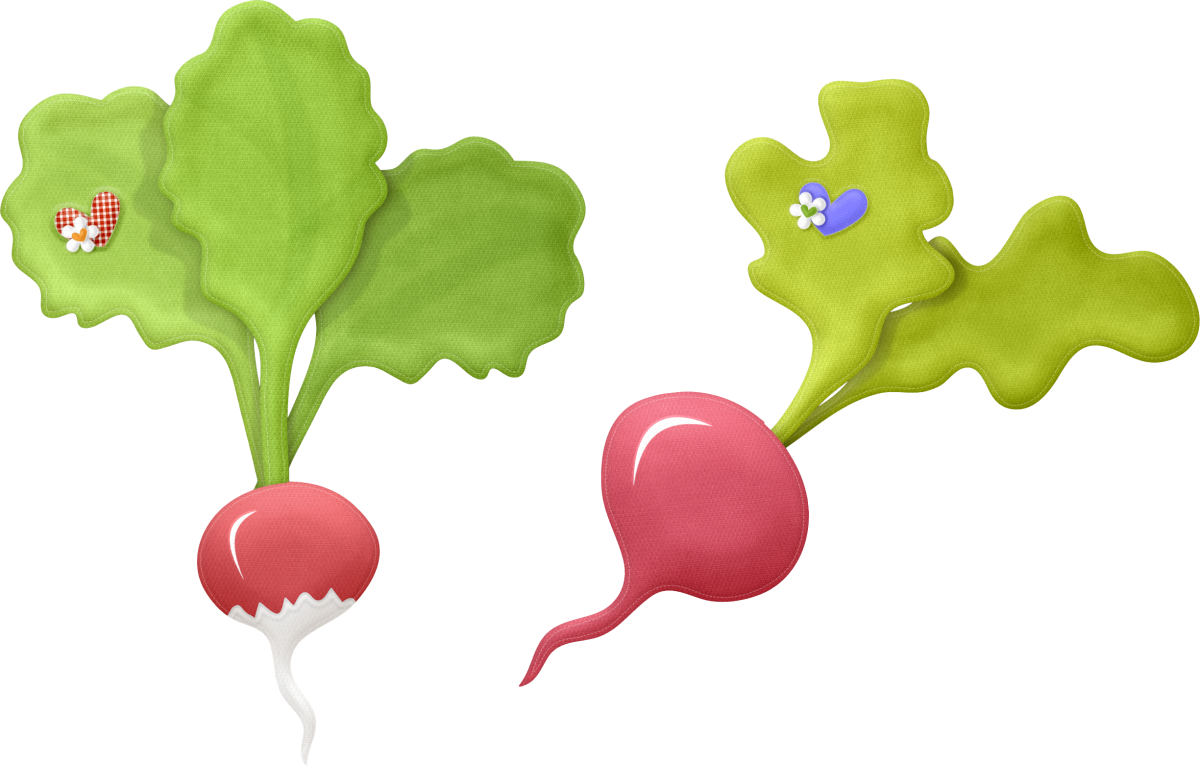 Аппликация редиска для детей