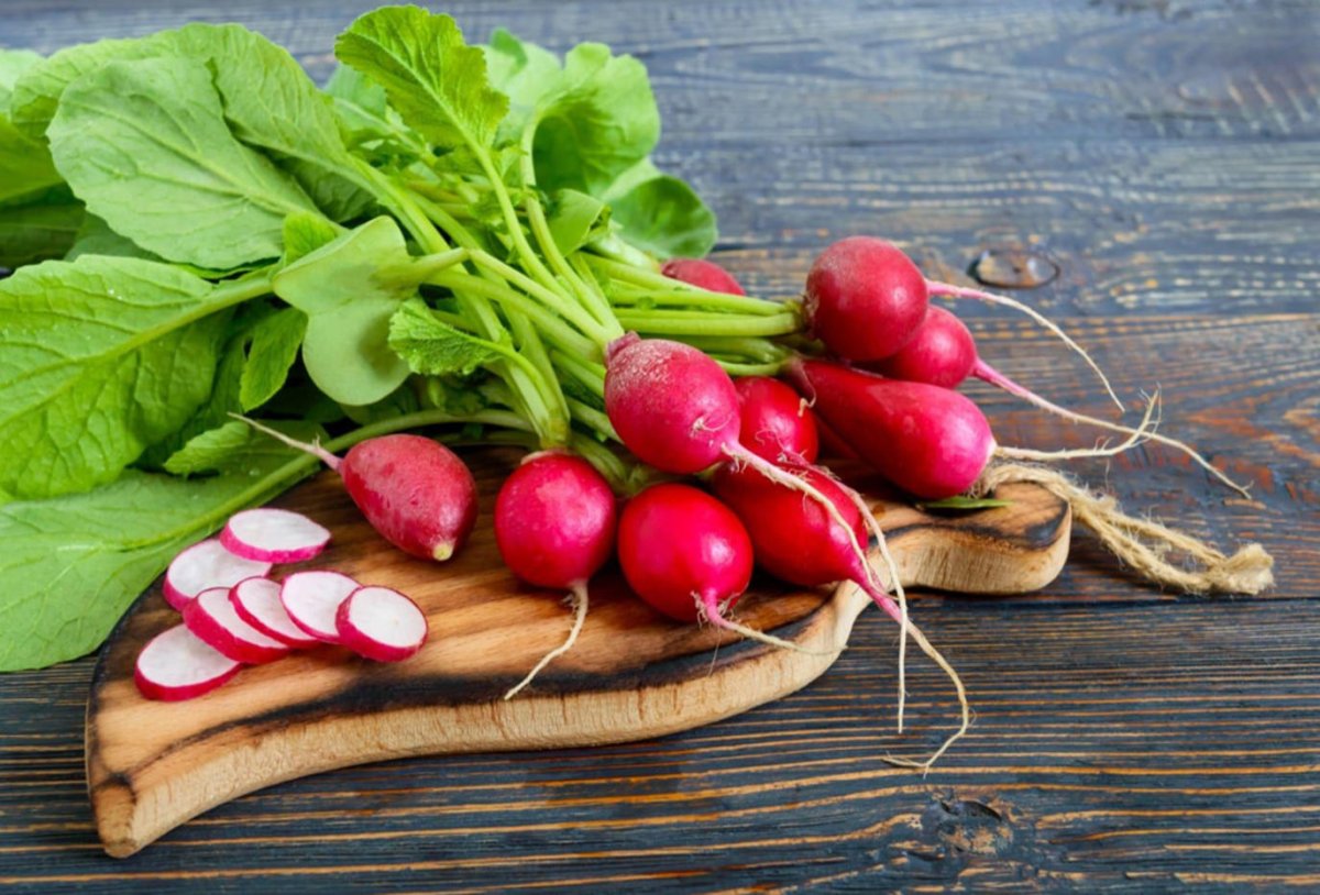 Редис картина детская