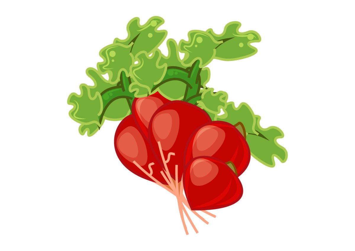 Редиска Смайл