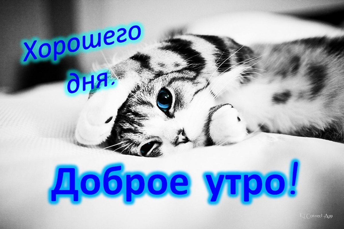 Открытки доброе утро дорогой мой человек