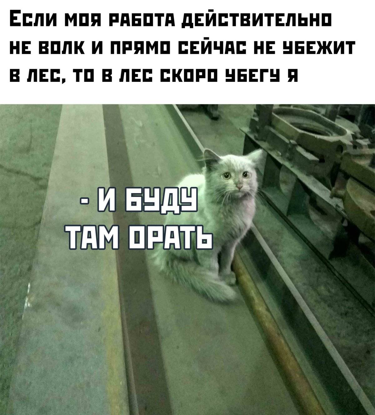 Работа не волк