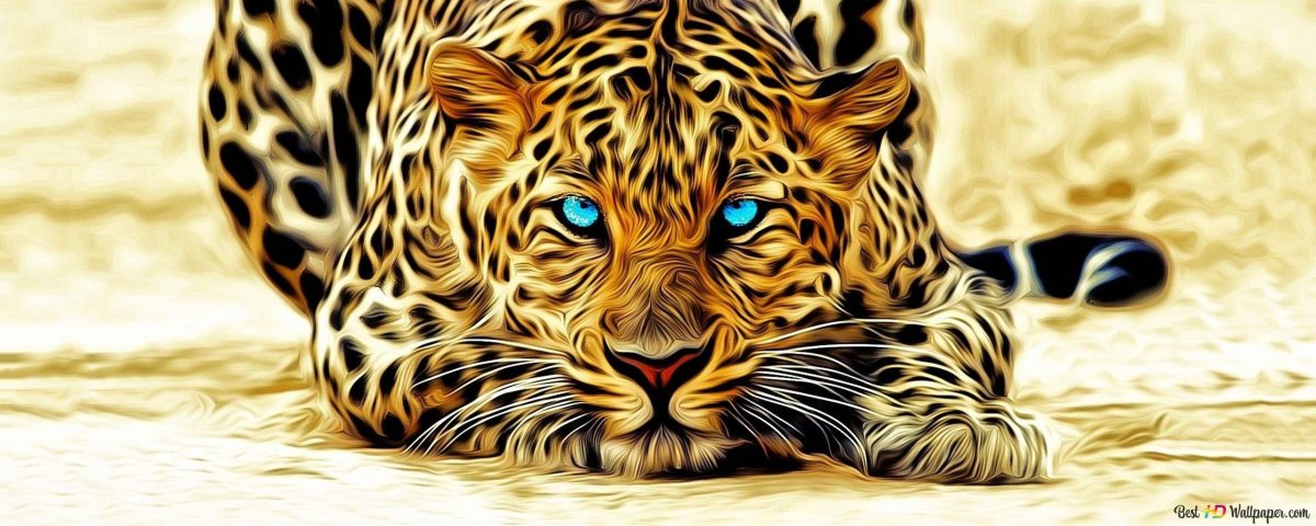 Леопард с голубыми глазами