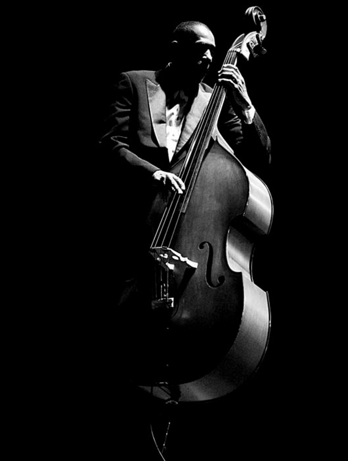 Контрабасист на белом фоне