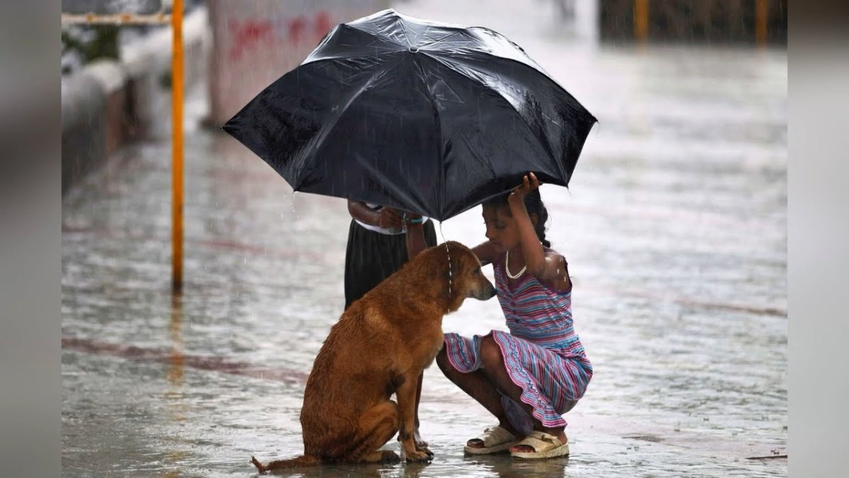 Добрые поступки