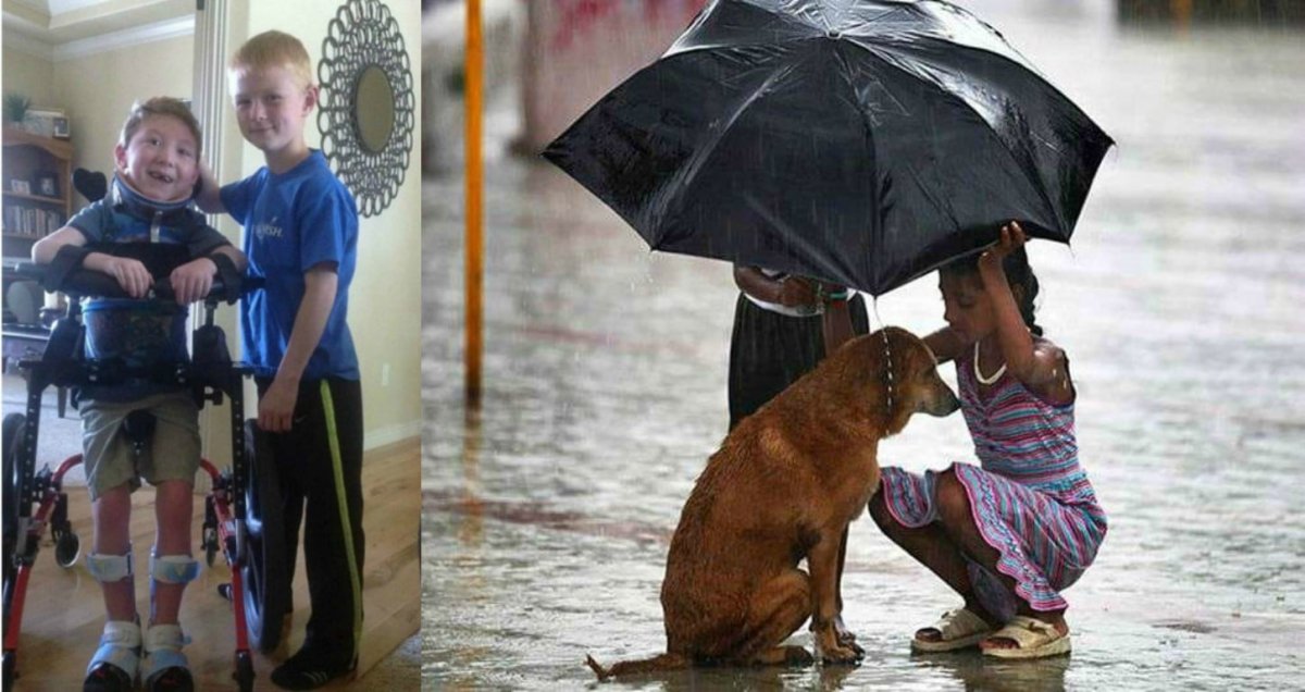 Красивый поступок