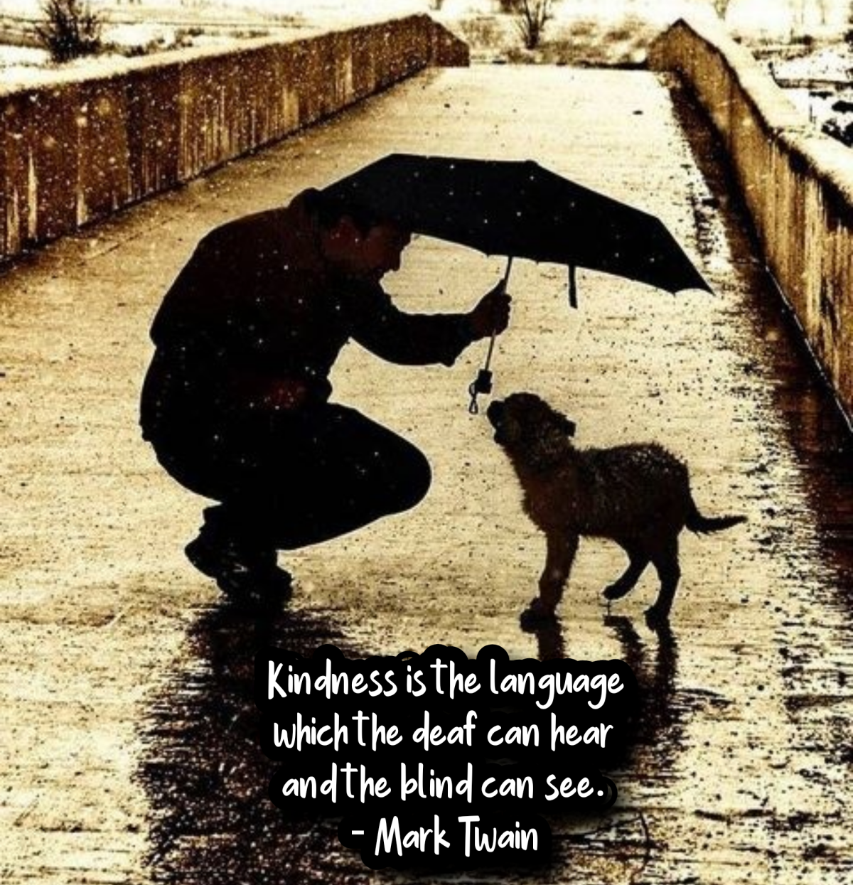 Человечность к животным