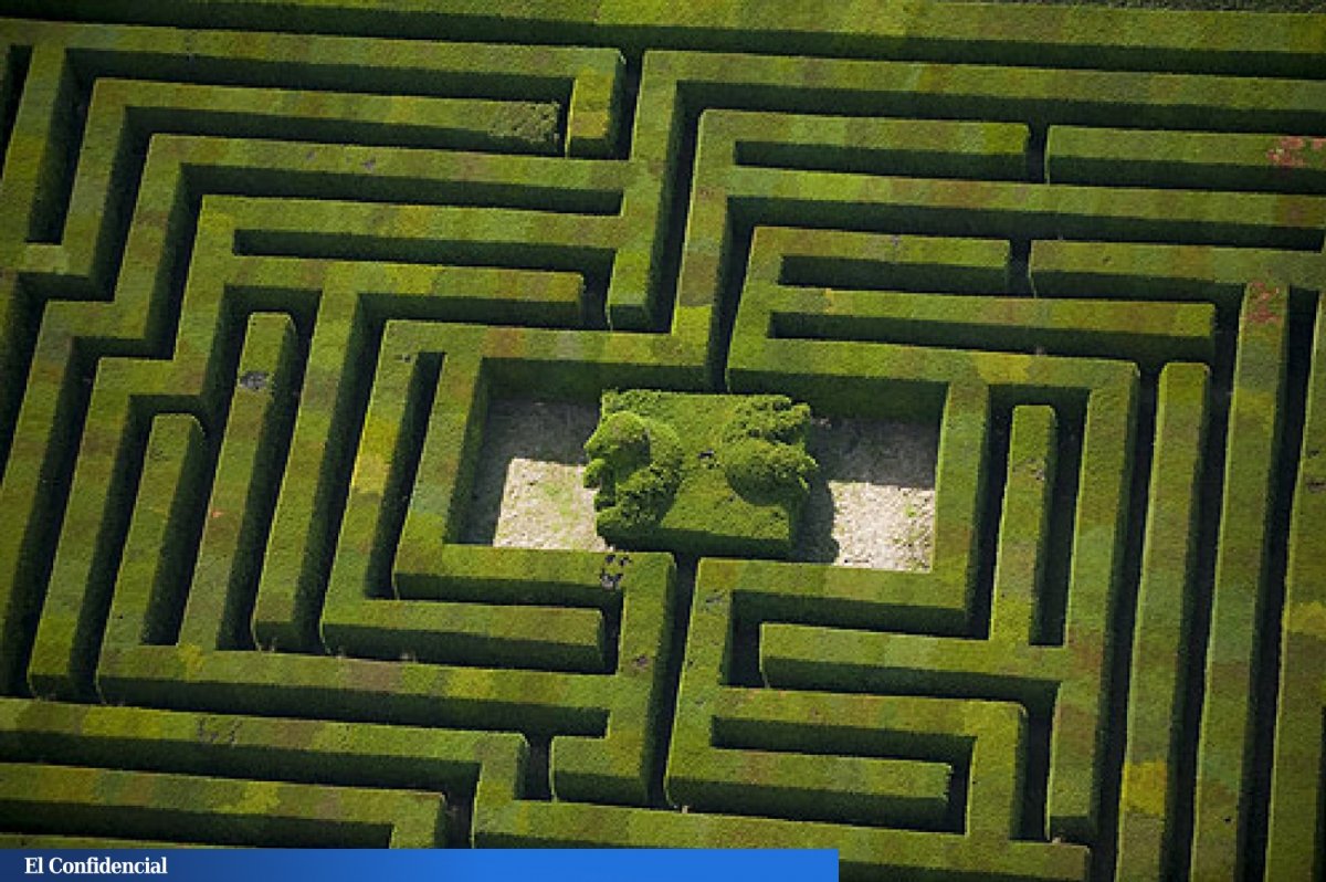 Лабиринт из травы