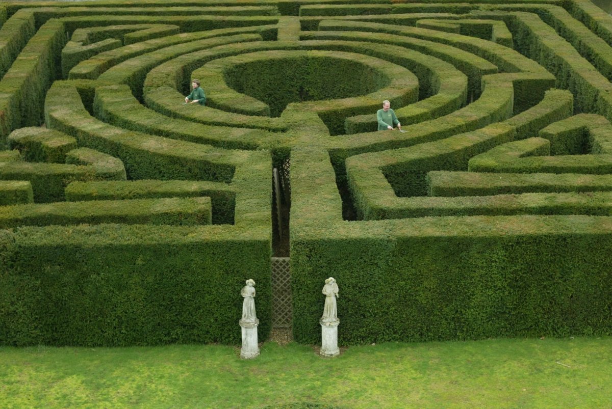 Лабиринт Maze