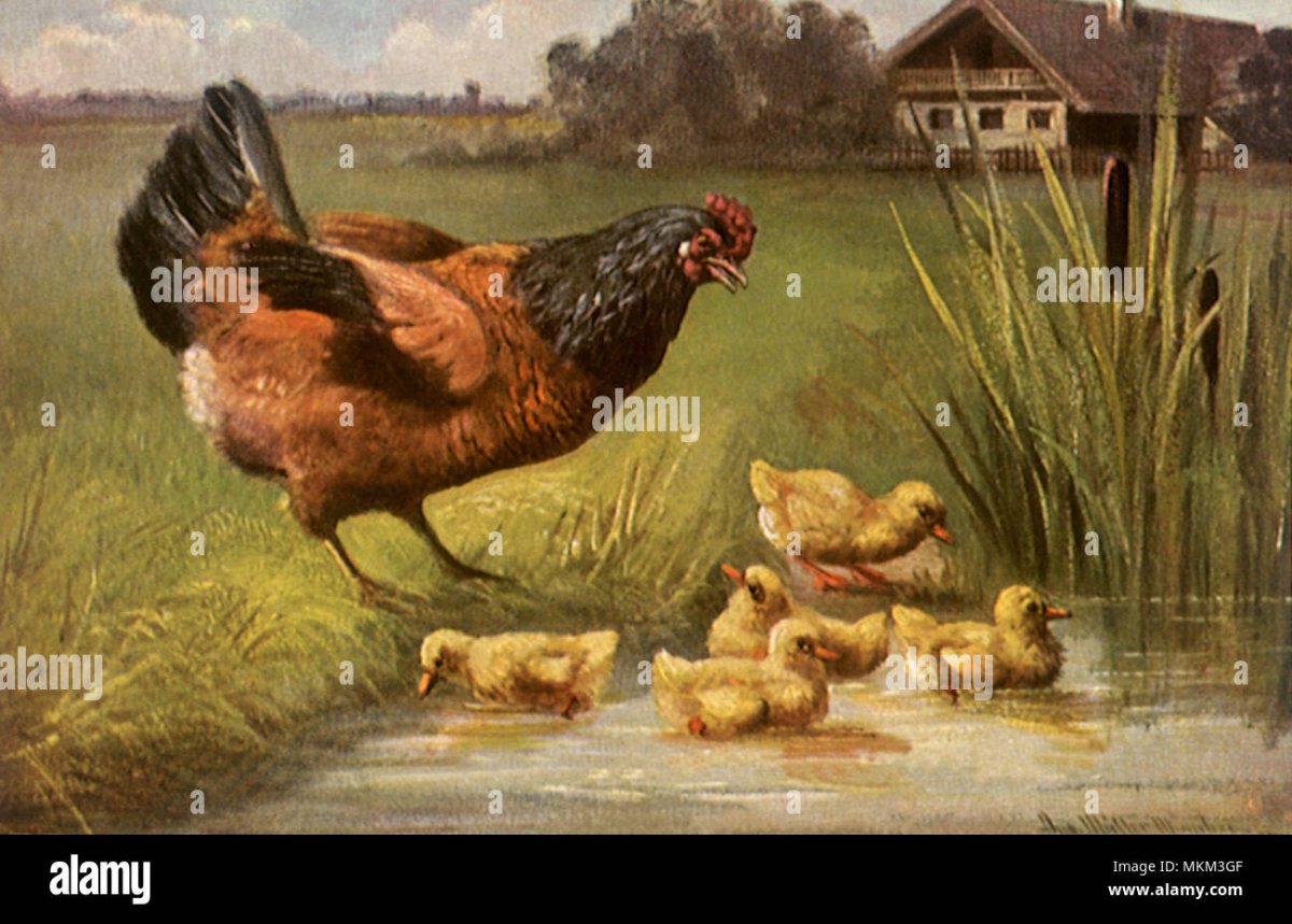 Курица Винтаж