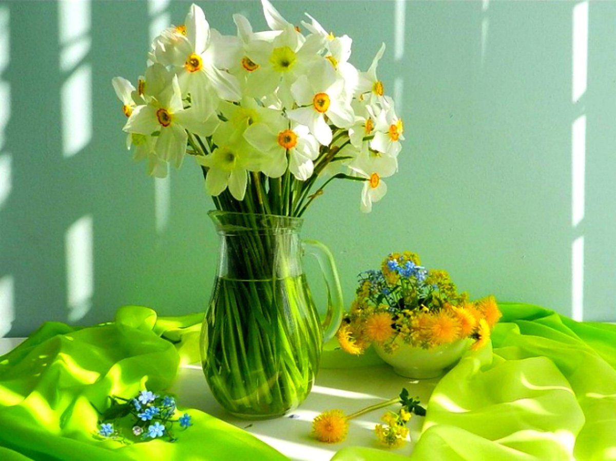 Доброговессенего утро