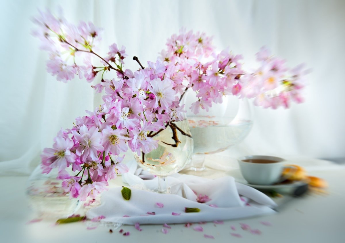 Весеннее утро