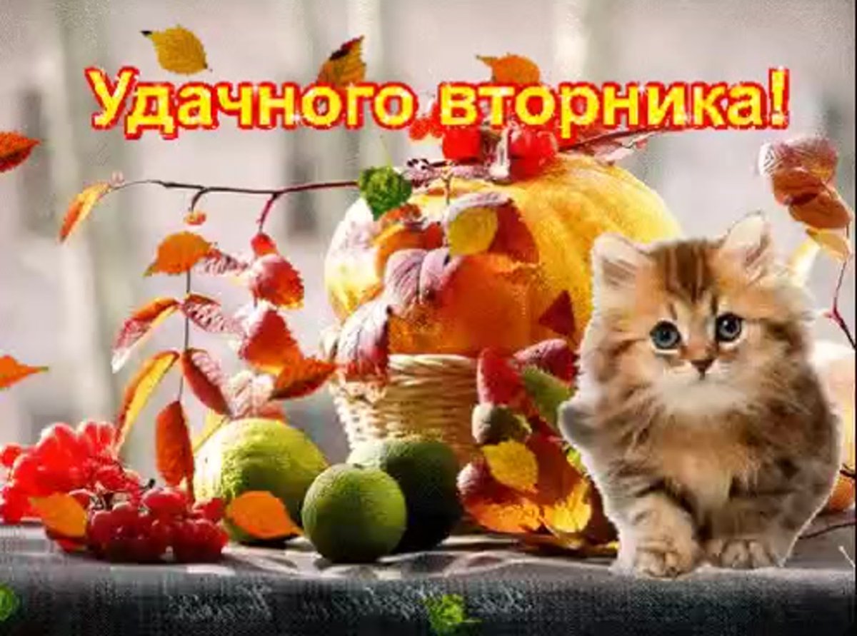 "На чашечку кофе…?!"