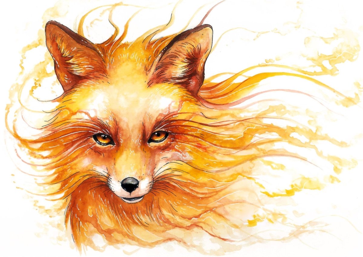 Лисья морда акварель