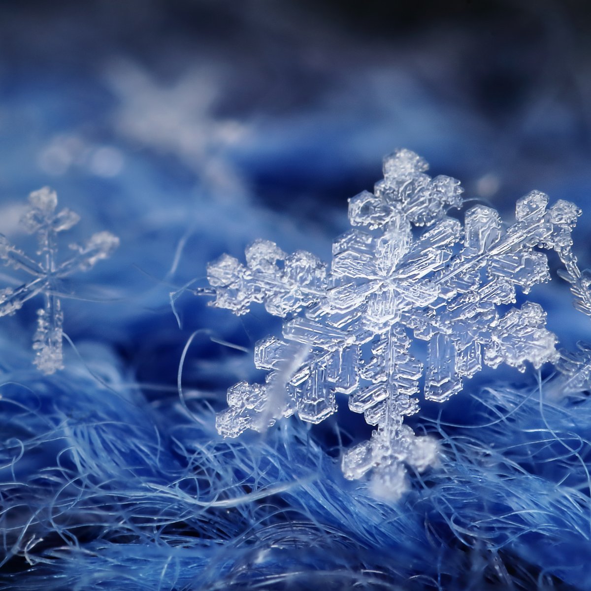 Живые снежинки