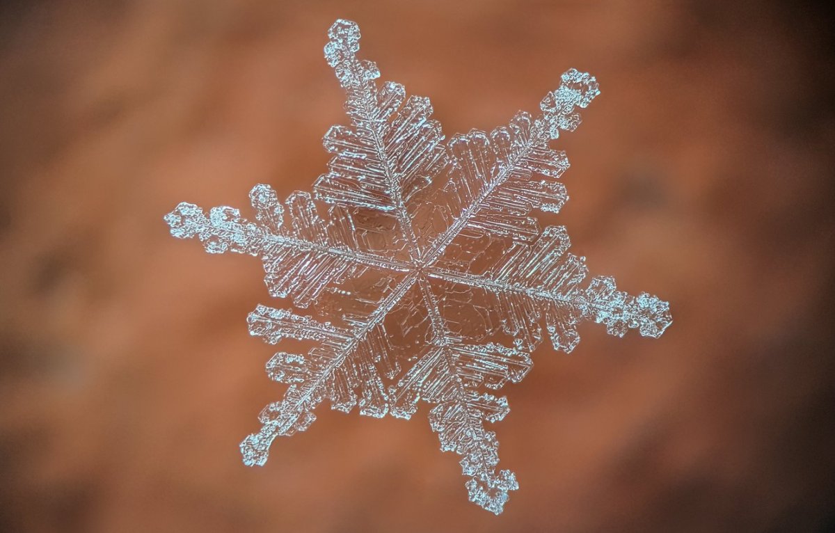 Снежинка макро