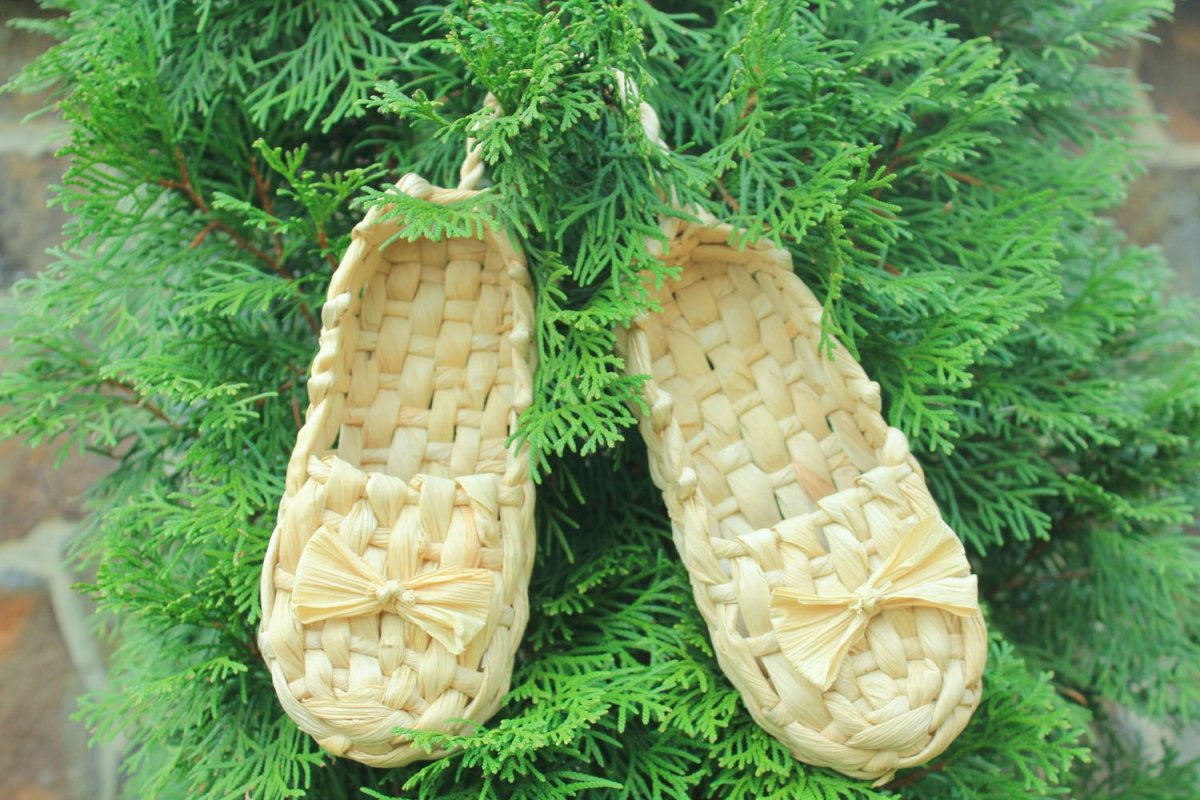 Лапти вид сбоку