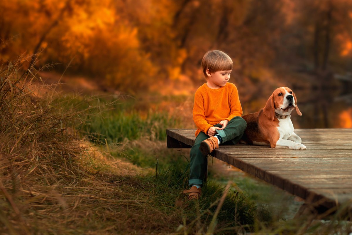 Собака для детей