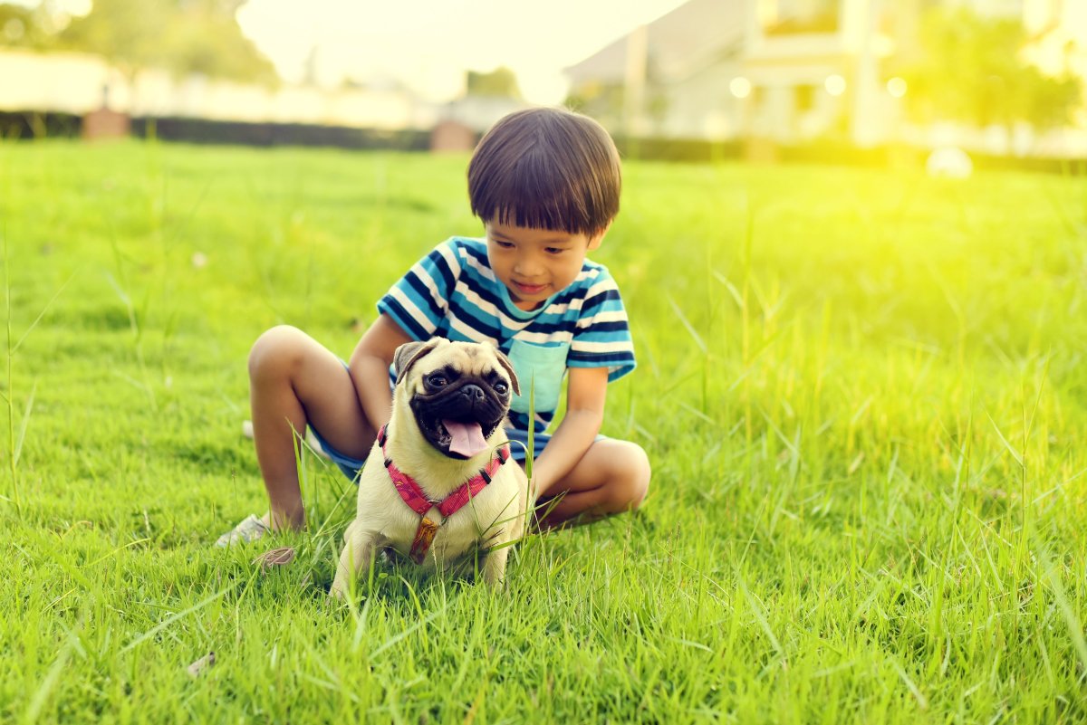 Счастливый мальчик с собакой