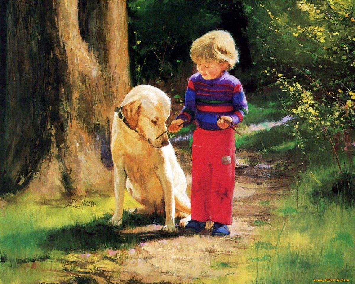 Художник Дональд Золан