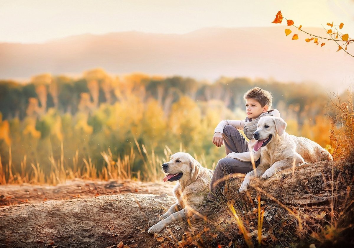 Семейная фотосессия с собакой