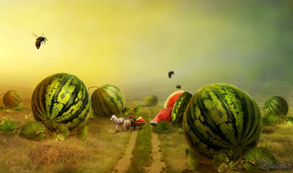 Рисование с детьми 5 лет Арбуз