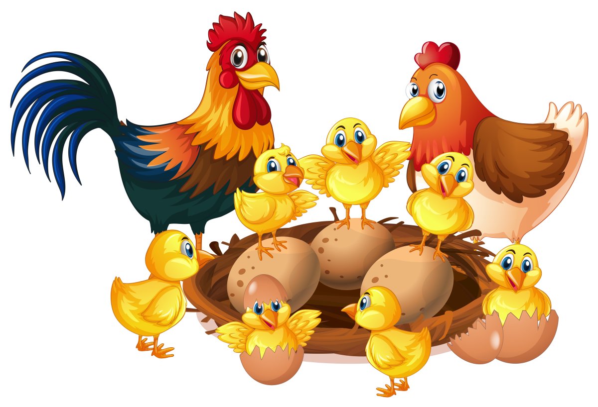 Картинка петушок с семьей