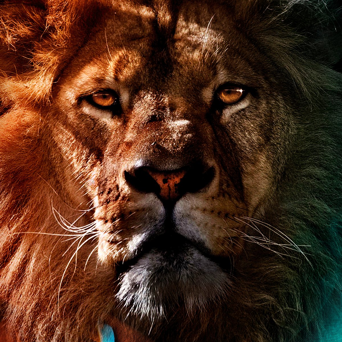 Лев на красивом фоне