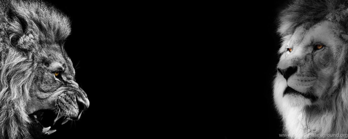 Лев красивый синий