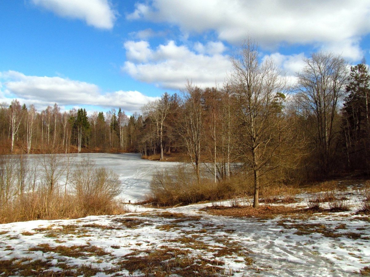 Март природа