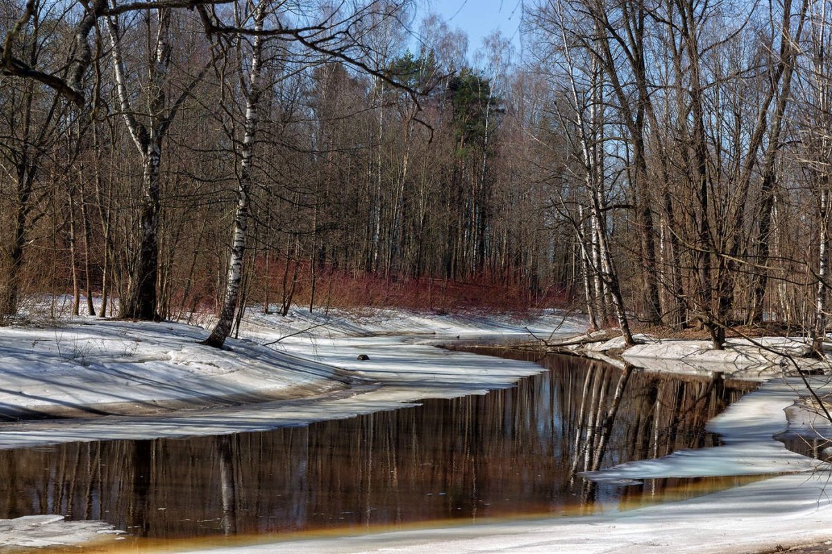 Ранняя Весна пейзаж
