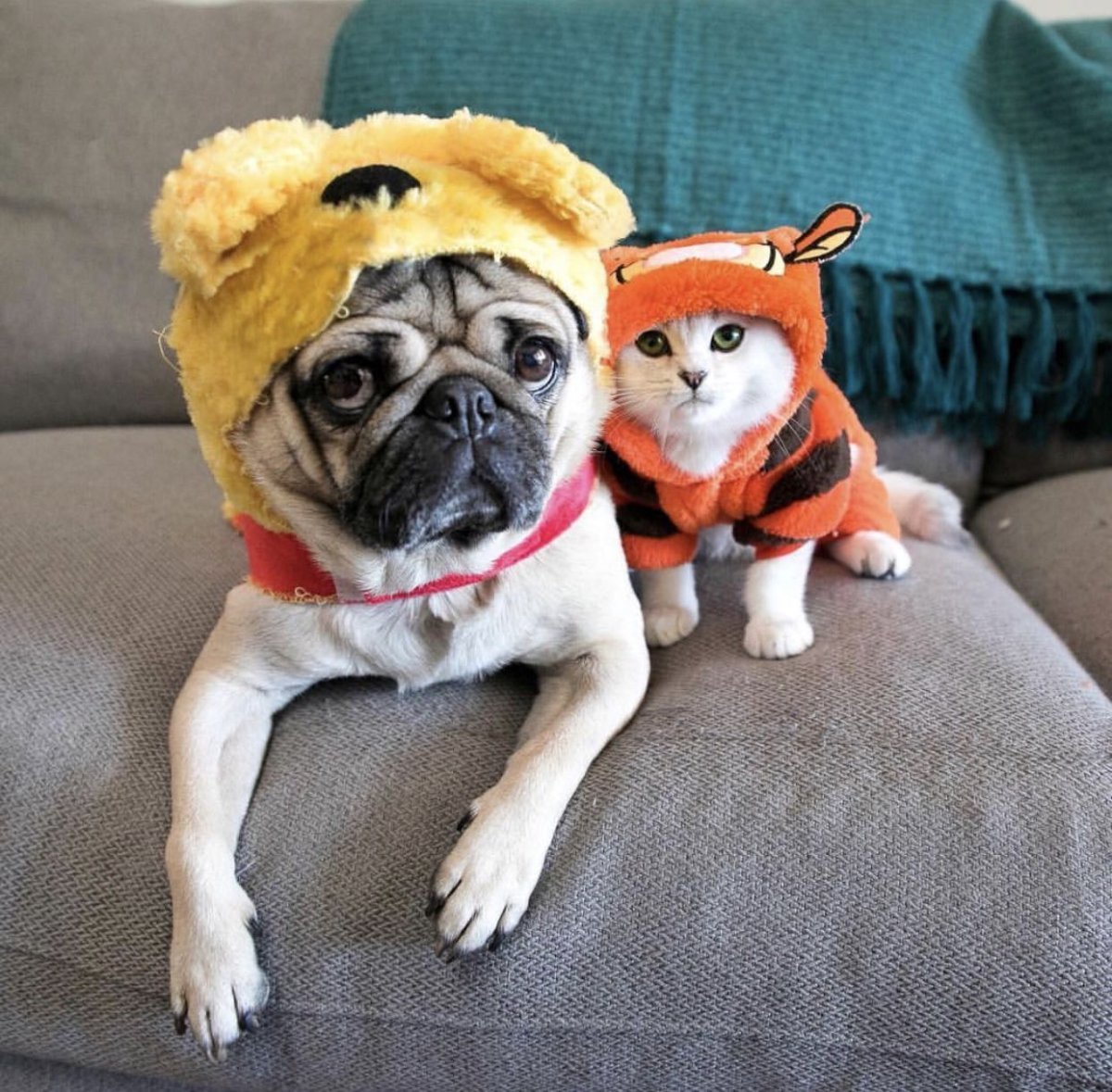 Четыре кота арт