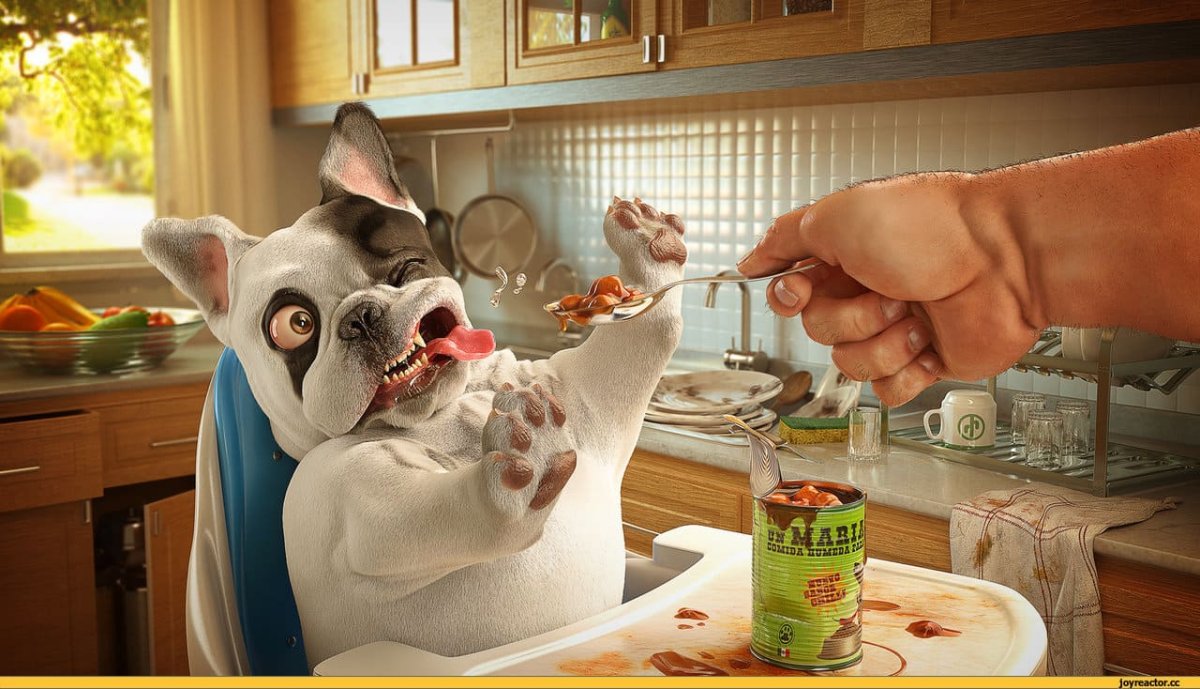 Кружка " кот, кофе"