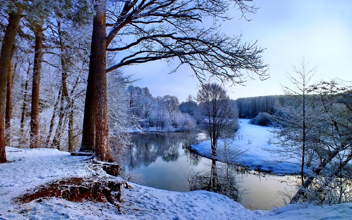 Зима лес река