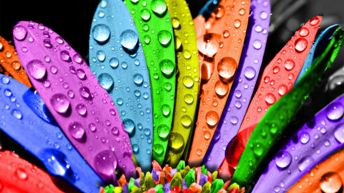 Цвета радуги