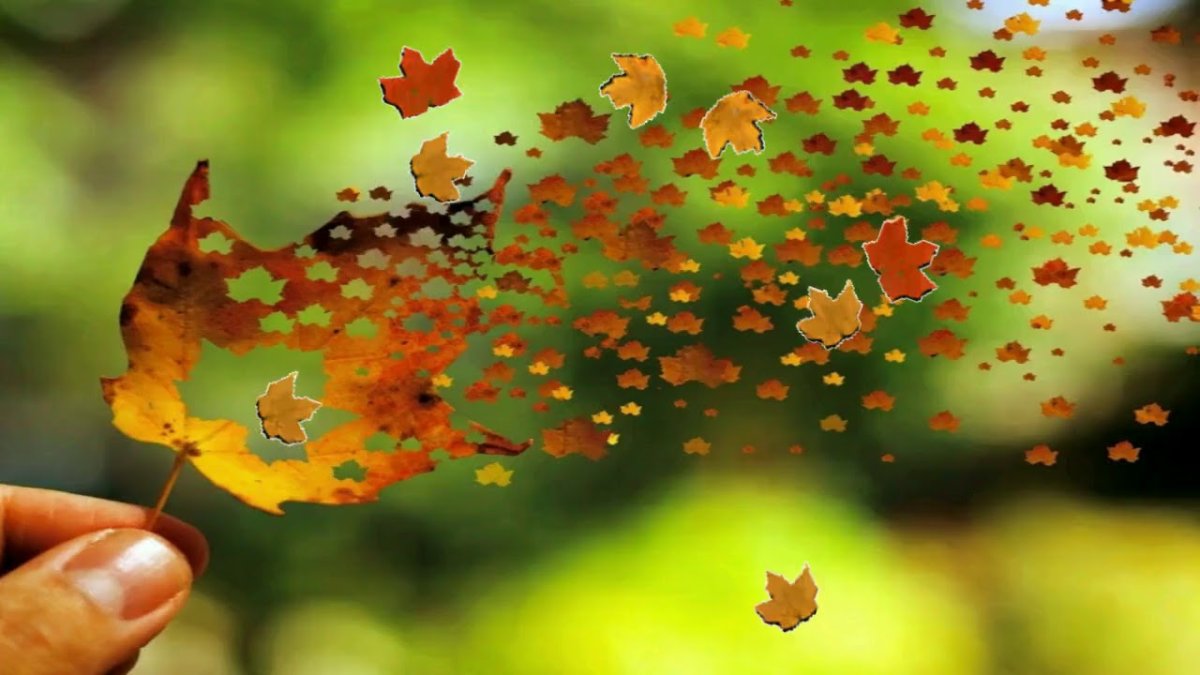 Ветер перемен осень