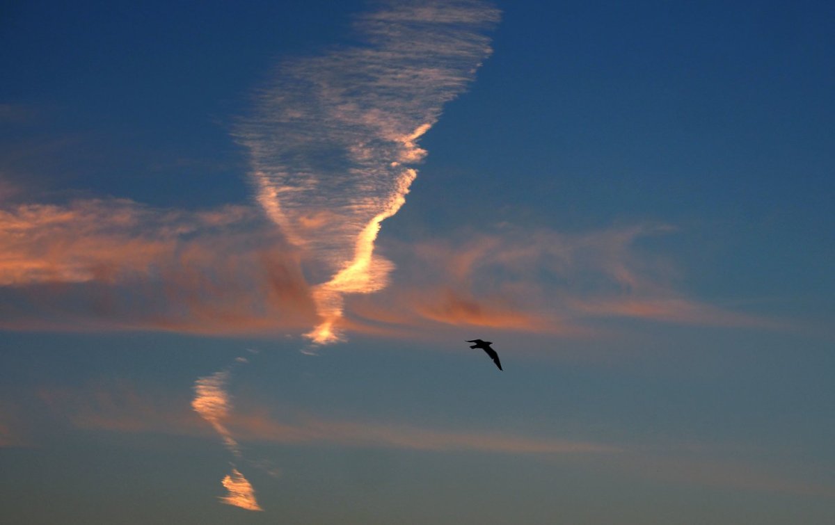 Ветер перемен фото