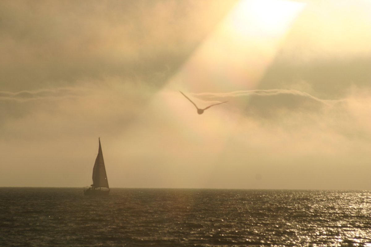 Ветер перемен фото