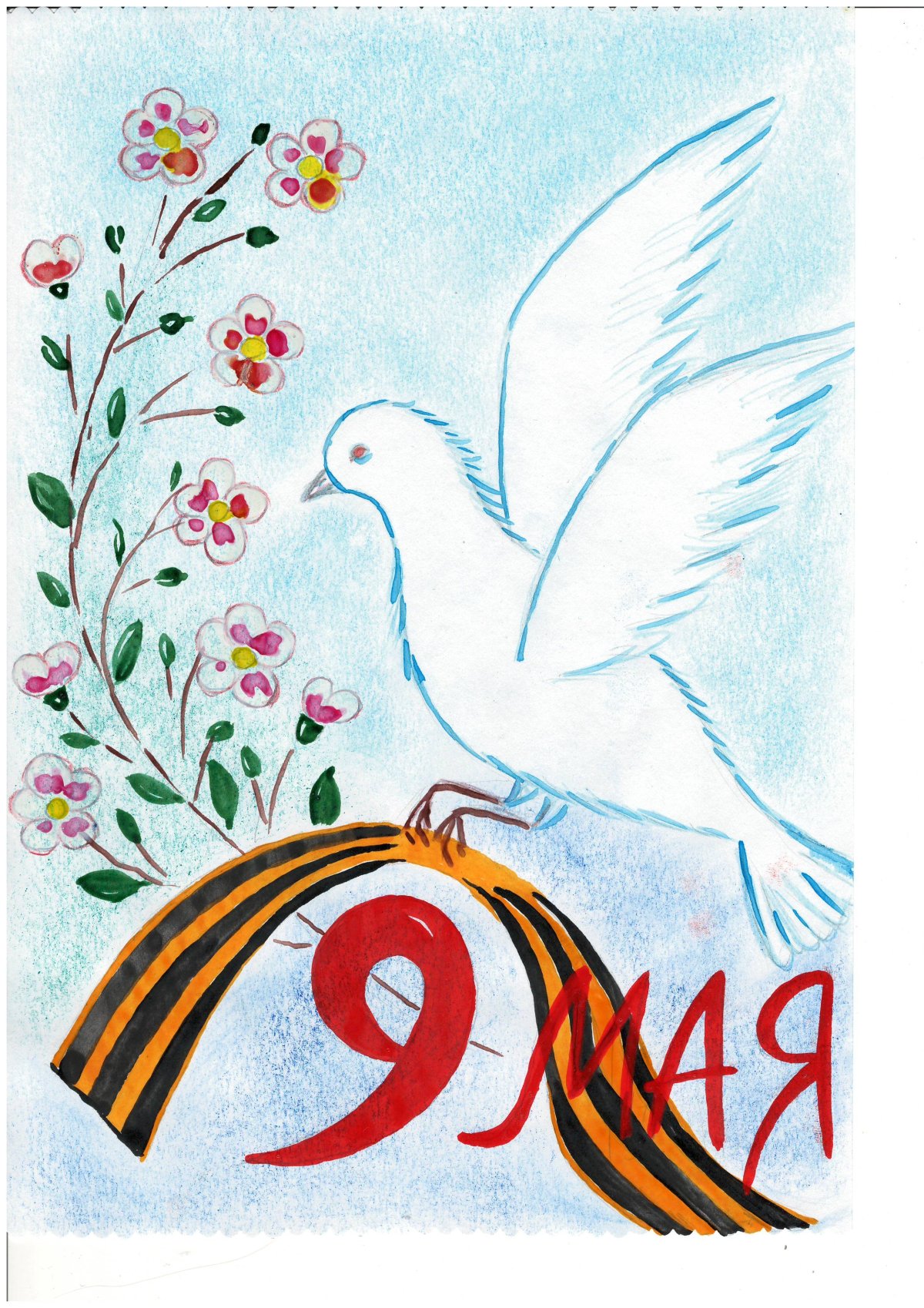 Голубь мира к 9 мая