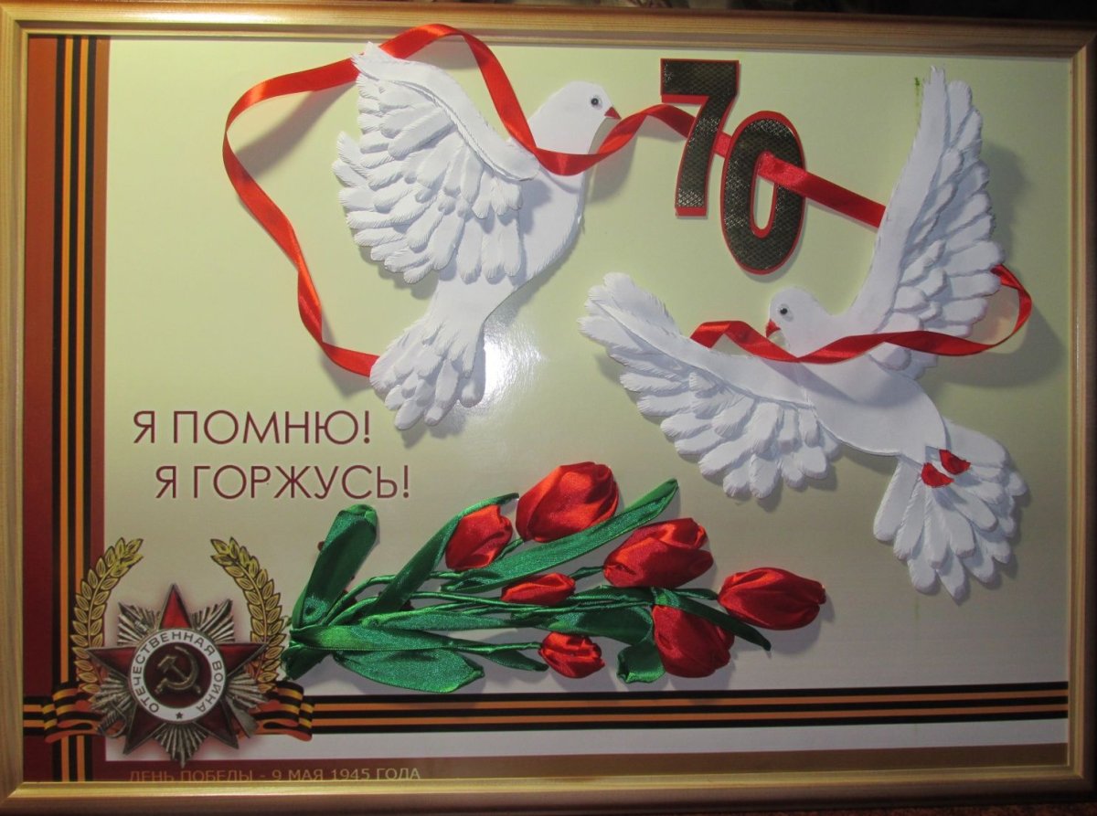 Голубь в лучах солнца