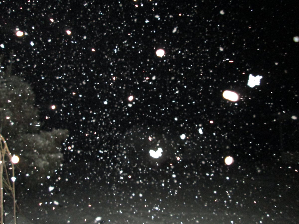 Снег в ночном небе