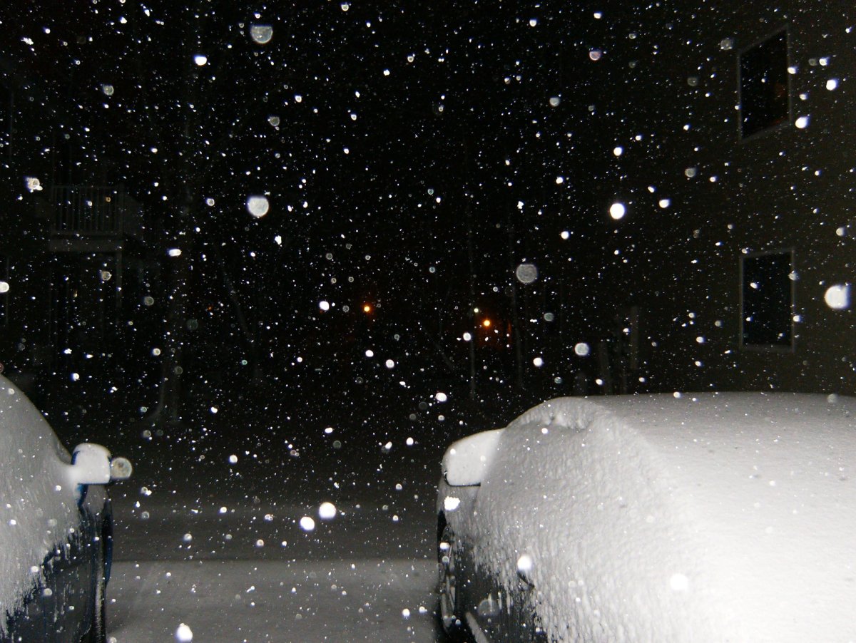 Снегопад Эстетика