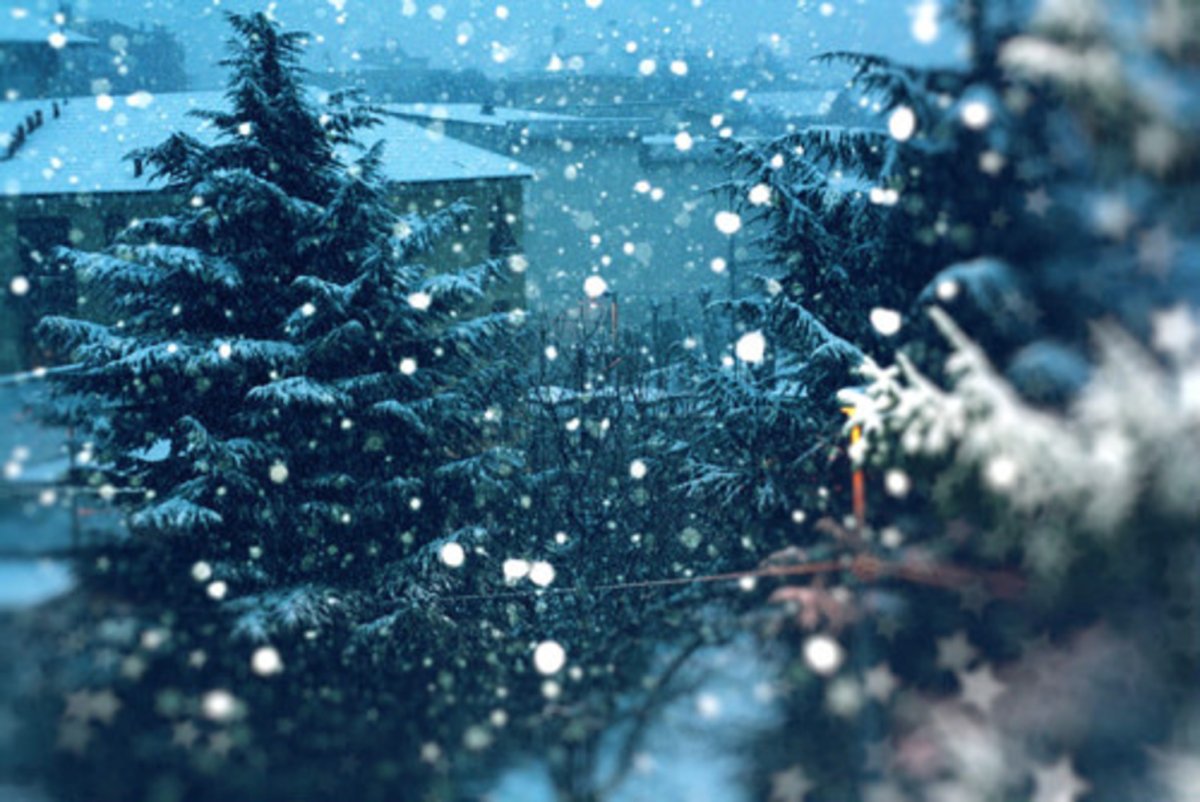 Вдохновение зима